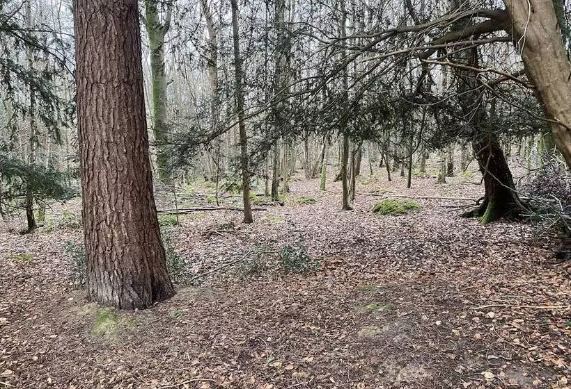 Private And Secluded Cabin In Rowfant