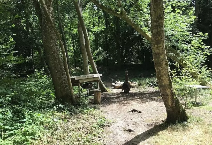 Private And Secluded Cabin In Rowfant