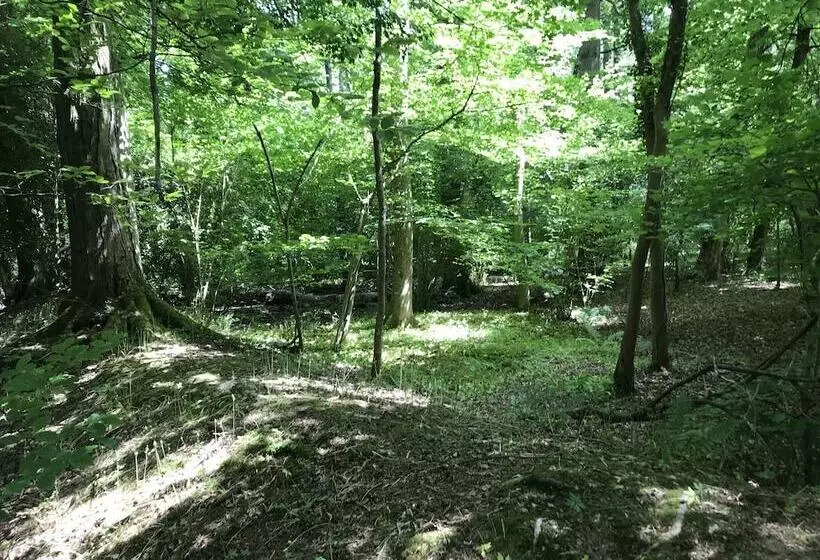 Private And Secluded Cabin In Rowfant