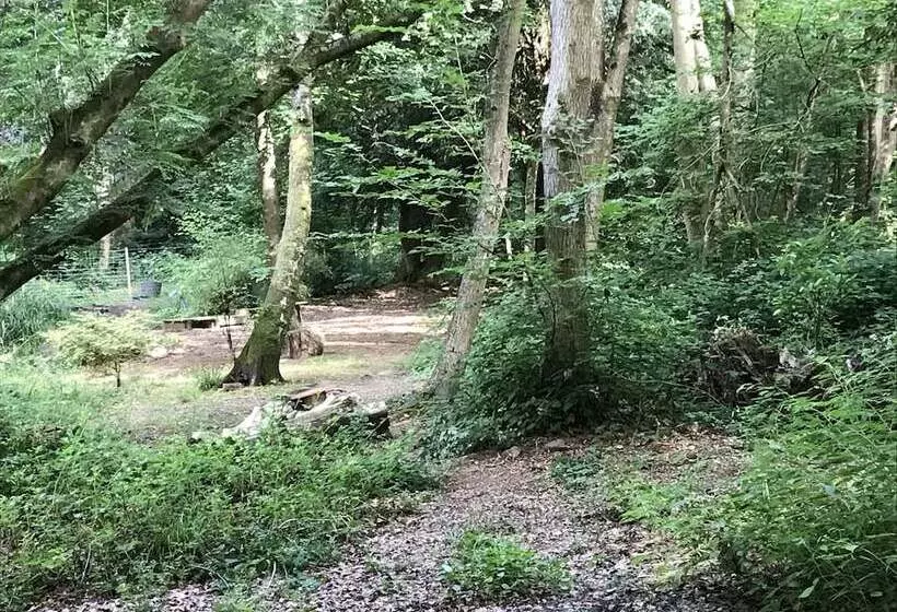 Private And Secluded Cabin In Rowfant