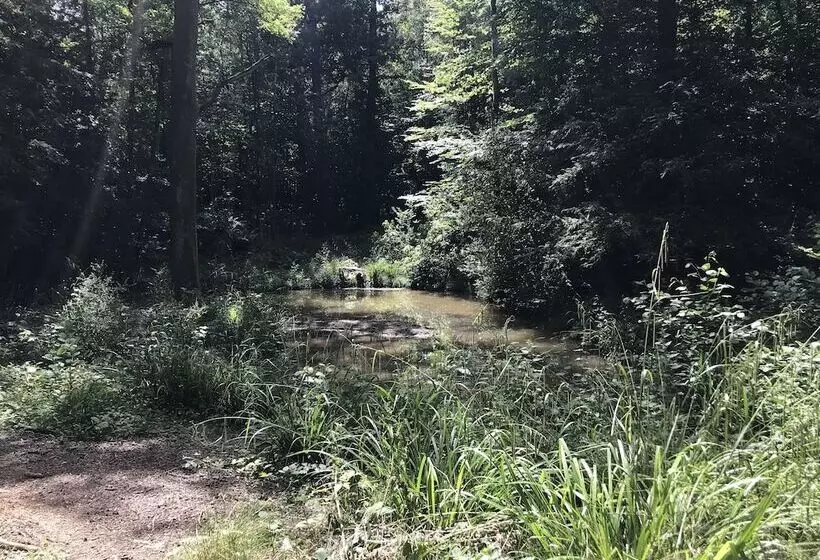 Private And Secluded Cabin In Rowfant