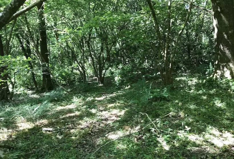 Private And Secluded Cabin In Rowfant