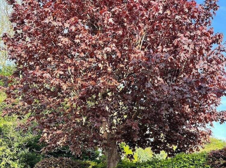 Rezydencja 4 Bed House In Wetherby, Sleeps 8, Near York