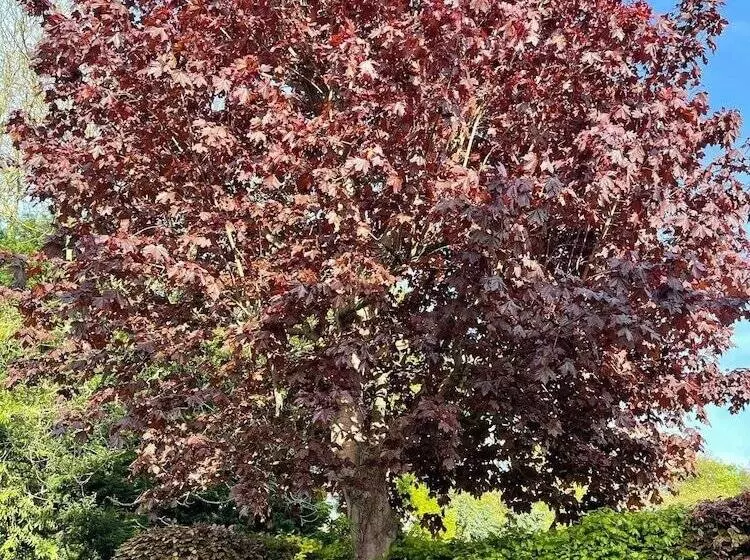 Residenssi 4 Bed House In Wetherby, Sleeps 8, Near York