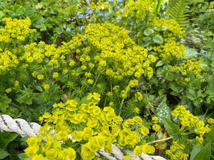 Rezydencja 4 Bed House In Wetherby, Sleeps 8, Near York