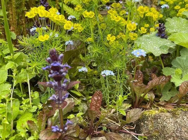 Residenssi 4 Bed House In Wetherby, Sleeps 8, Near York