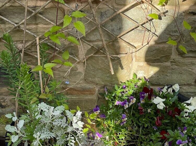 Rezydencja 4 Bed House In Wetherby, Sleeps 8, Near York