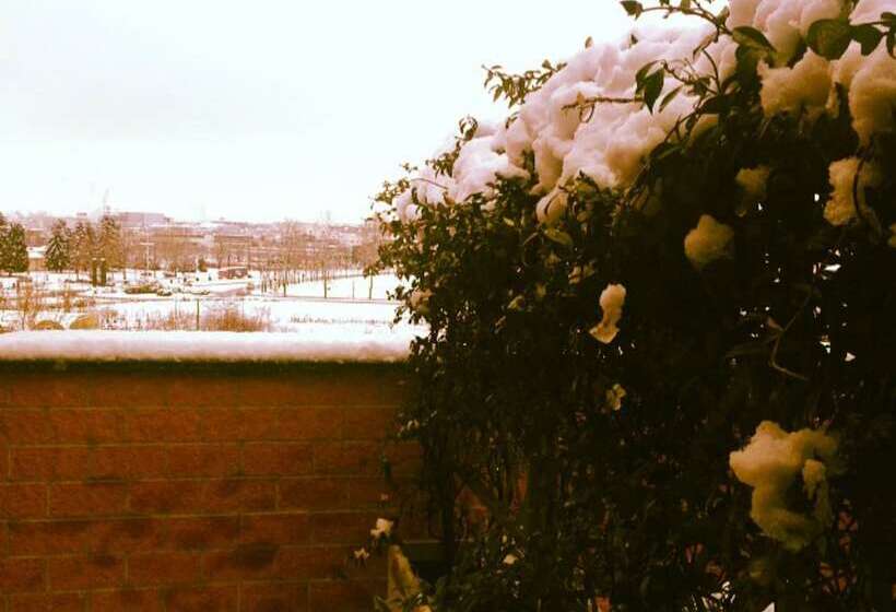 Albaresidence Masera26