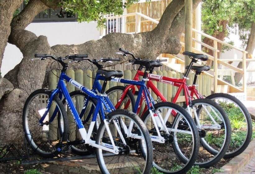 مبيت وإفطار Plett Beachfront Accommodation