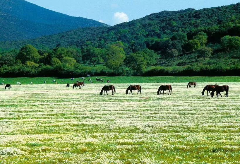 هتل Agriturismo La Pulledraia