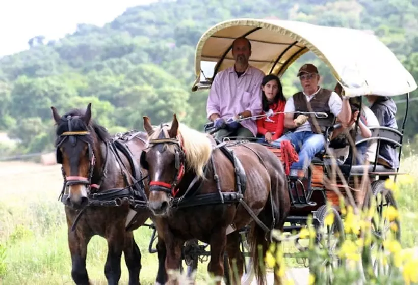 هتل Agriturismo La Pulledraia