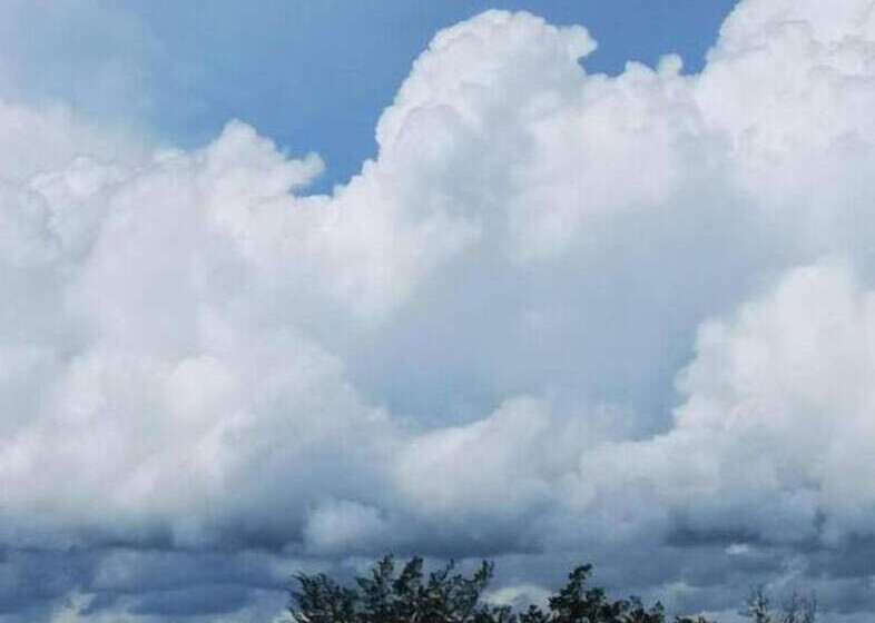 בית מלון כפרי City Garden