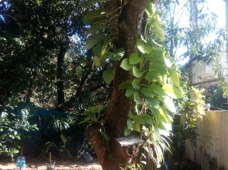 호텔 Goalma Holiday Resort