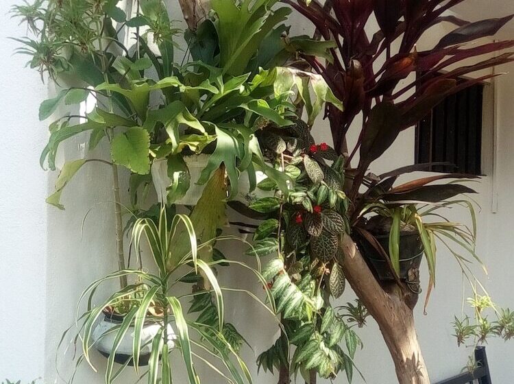 호텔 Goalma Holiday Resort