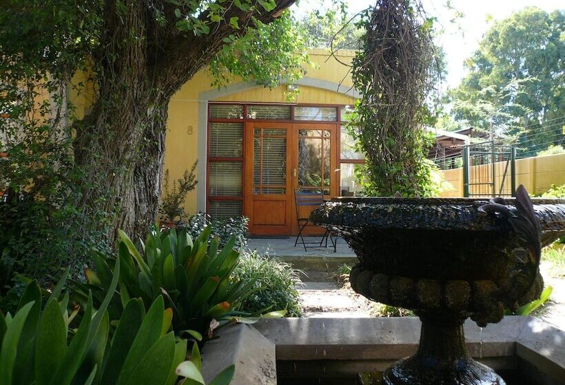 بنسيون 17 On Bird Guest House