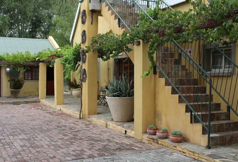 بنسيون 17 On Bird Guest House