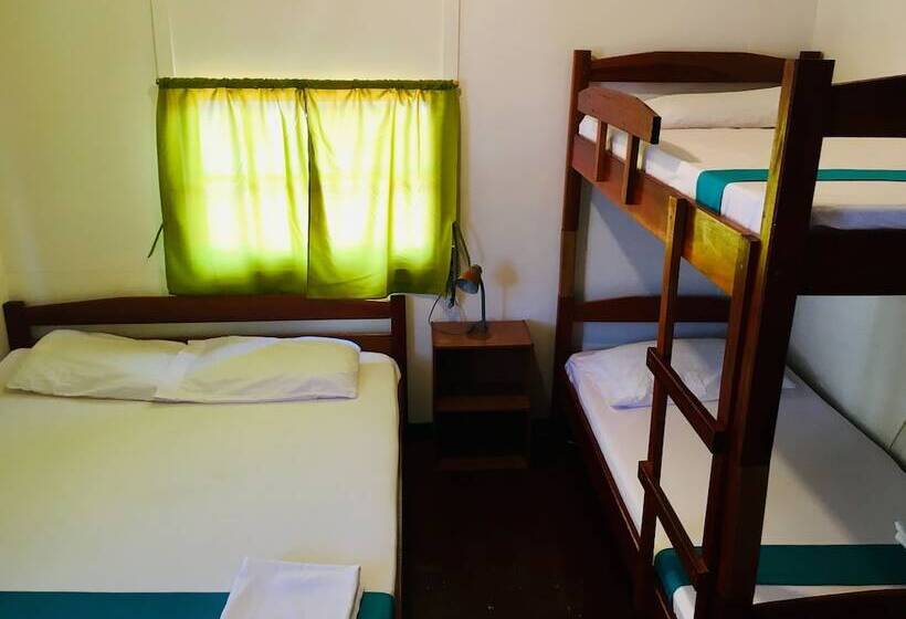 پانسیون Guesthouse De Kleine Historie