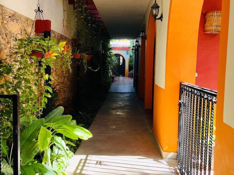 Bed and Breakfast Casa Tres Colibries