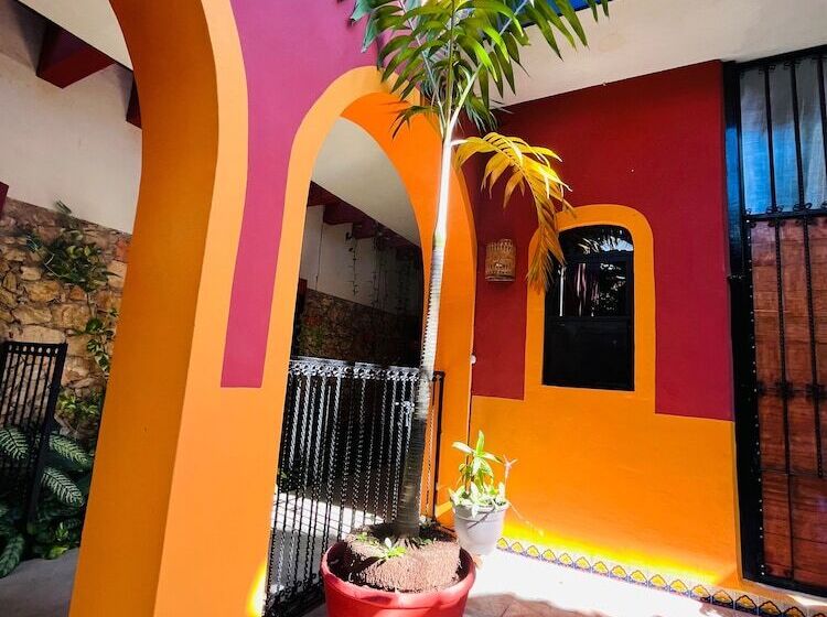 Bed and Breakfast Casa Tres Colibries