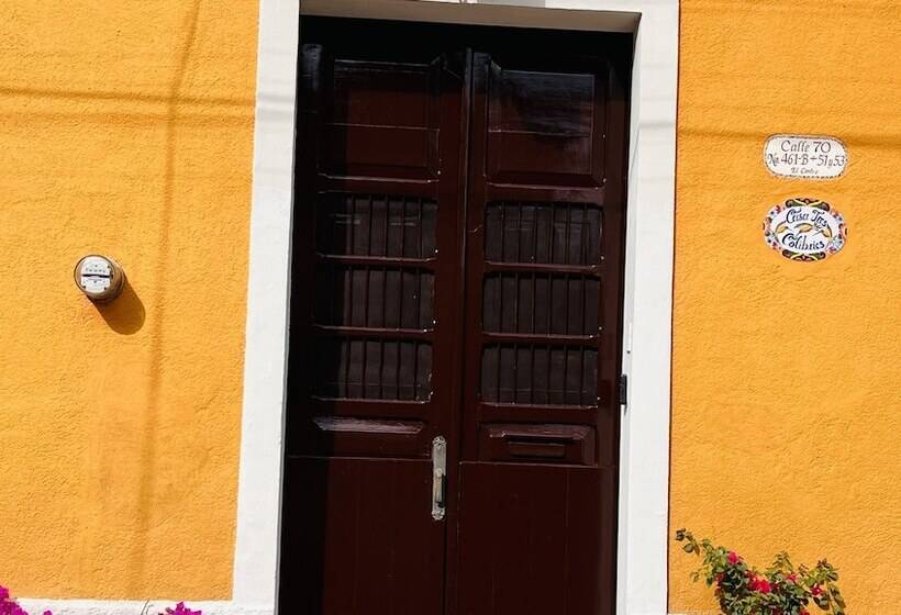 Bed and Breakfast Casa Tres Colibries