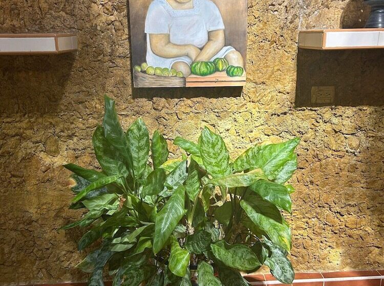 Bed and Breakfast Casa Tres Colibries