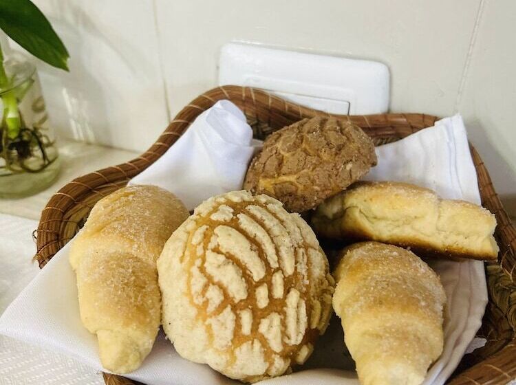 Bed and Breakfast Casa Tres Colibries