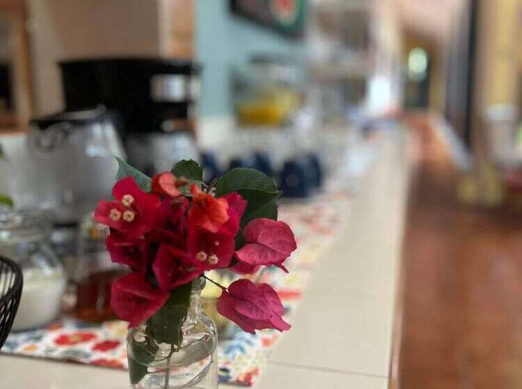 Bed and Breakfast Casa Tres Colibries