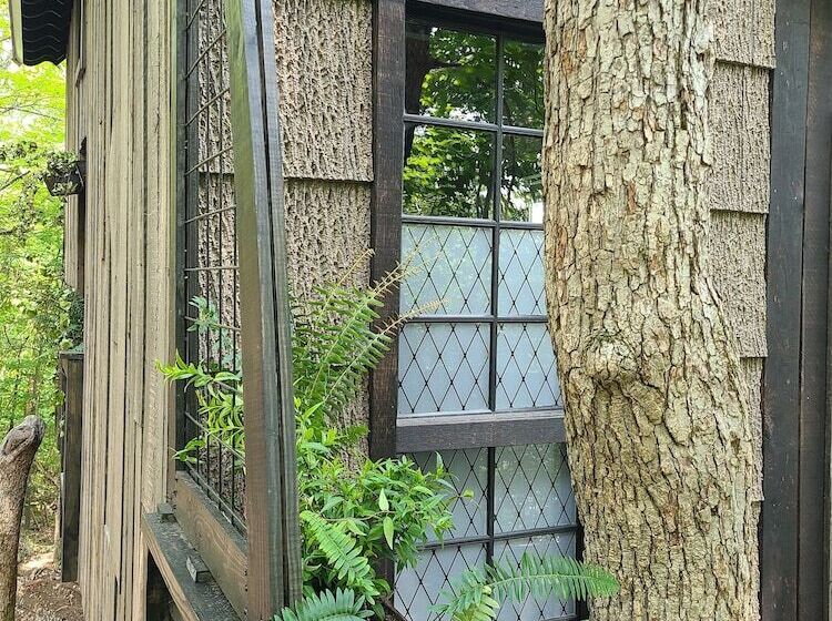 Отель The Treetop Hideaways At Ruby Falls