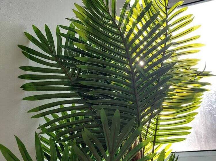 إقامة 4 Bed House In Accrington