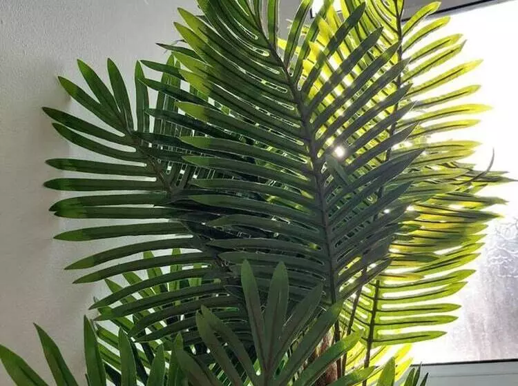 Residenssi 4 Bed House In Accrington