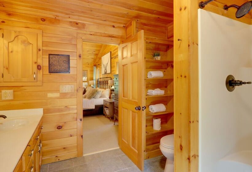 Blue Ridge Cabin W/ Hot Tub & Private Lake!