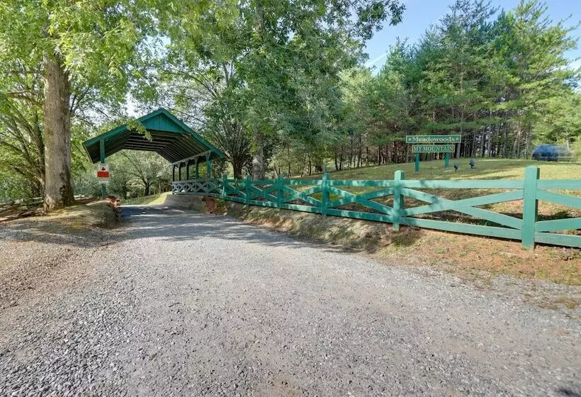 Blue Ridge Cabin W/ Hot Tub & Private Lake!