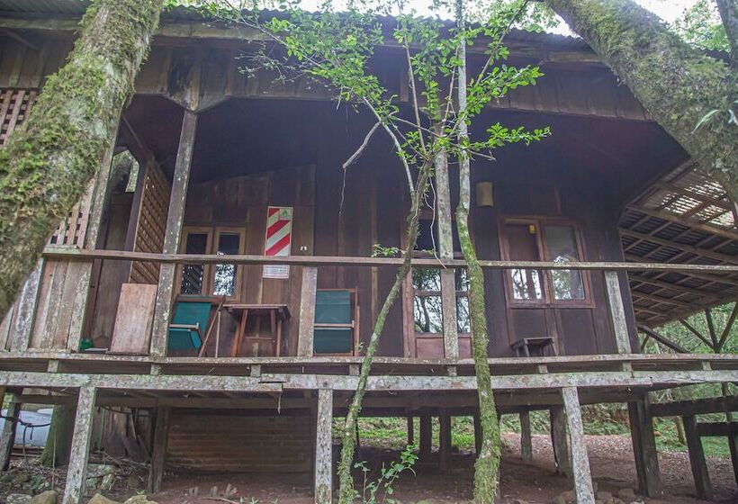 Posada Puerto Paraíso