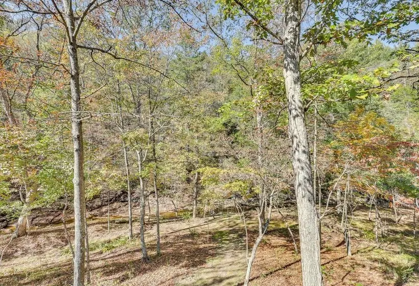 Wardensville Cabin W/ Hot Tub, Creek & Fire Pit!