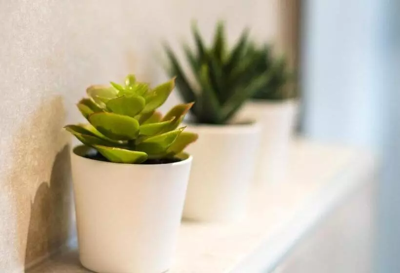 Ellie Apartments Stalida