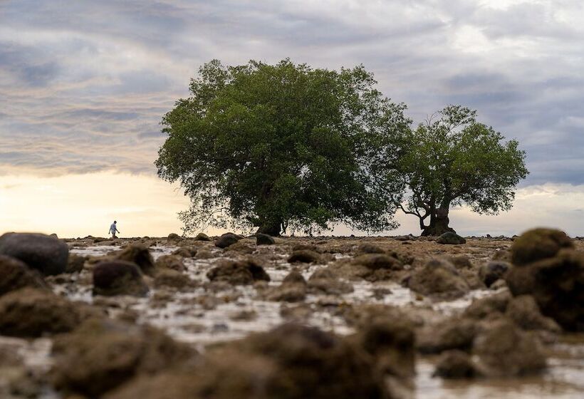 هتل Anodard Phuket