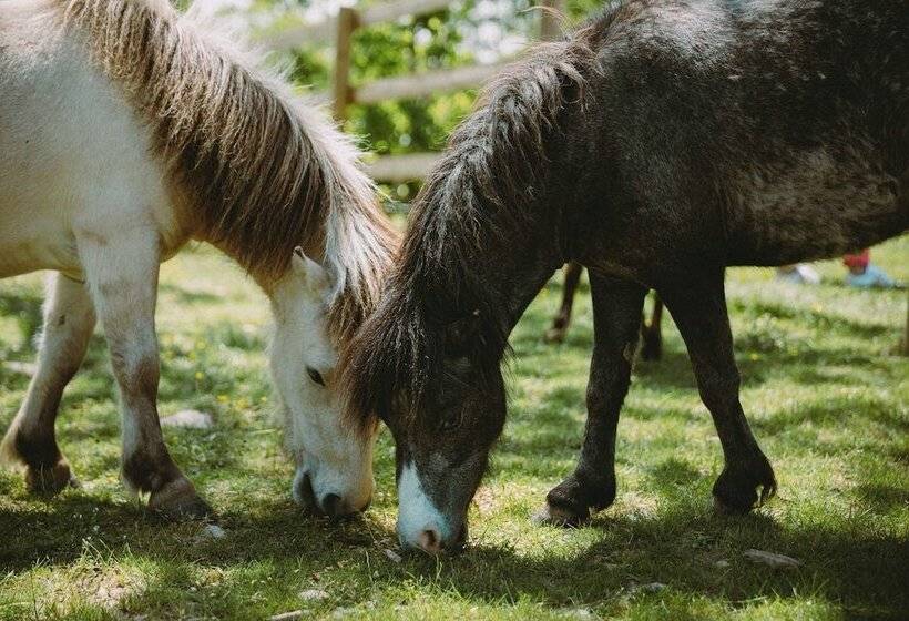 펜션 Le Bois D Alice