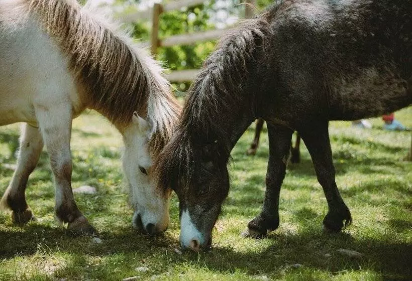 ペンション Le Bois D Alice