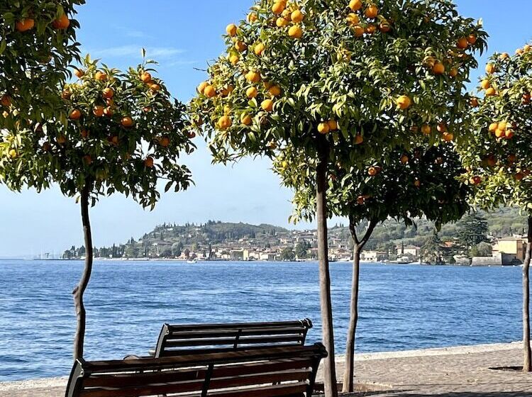 ペンション Villa Del Lis