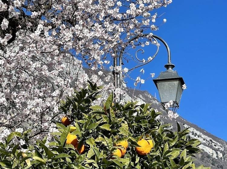 ペンション Villa Del Lis