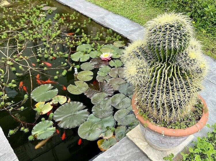 ペンション Villa Del Lis