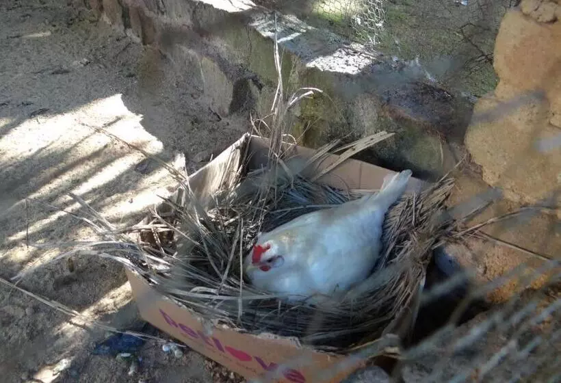 Retkeilymaja Canto De Roca Turismo E Lazer