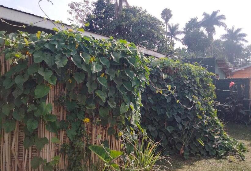 تختخواب و صبحانه Gaia Eco Hub Bnb