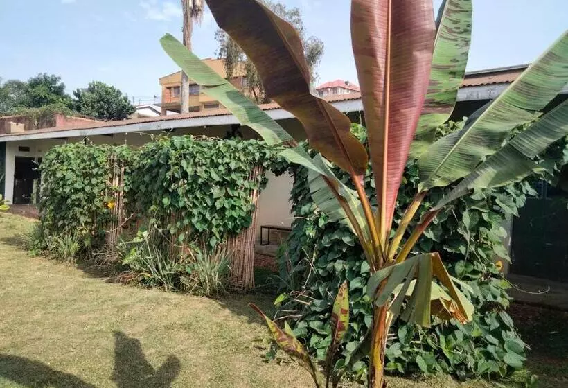 تختخواب و صبحانه Gaia Eco Hub Bnb