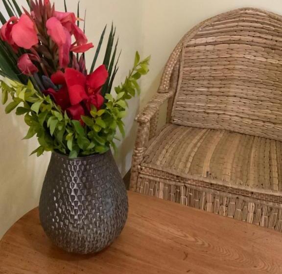 تختخواب و صبحانه Gaia Eco Hub Bnb