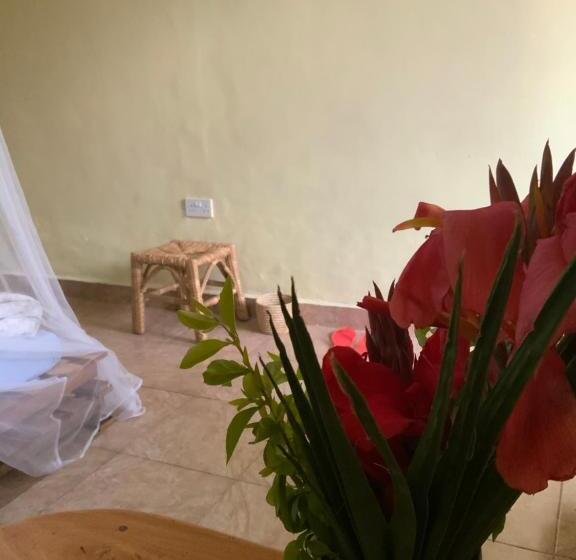 تختخواب و صبحانه Gaia Eco Hub Bnb