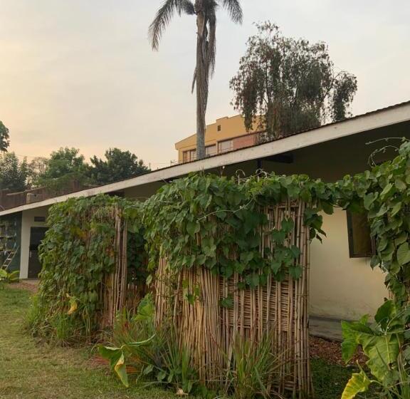 تختخواب و صبحانه Gaia Eco Hub Bnb