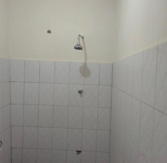 تختخواب و صبحانه Gaia Eco Hub Bnb