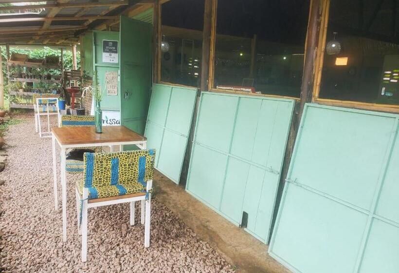 تختخواب و صبحانه Gaia Eco Hub Bnb