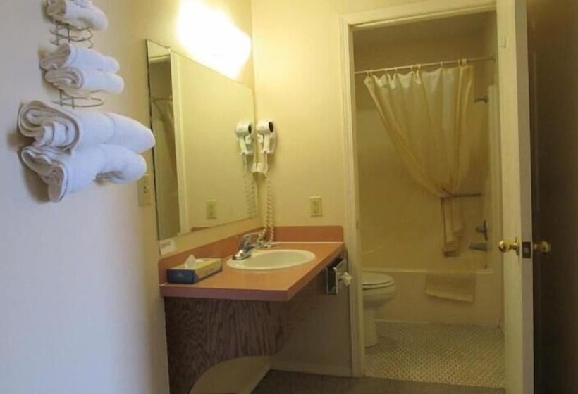 فندق فئة نجمة واحدة Los Tres Gallos